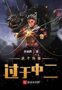 这个外挂过于中二