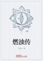 燃浊传