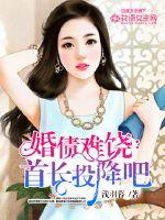 婚债难饶:首长投降吧!