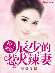 名门宠婚:辰少的惹火辣妻
