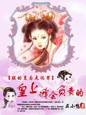 朕的皇后是伪男：皇上,我会负责的