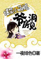 爆笑小萌妃:爷,洞房见