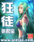 张君宝新书狂徒